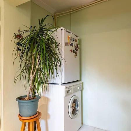 公寓 Lovely Flat Near Trendy Spots In Kadikoy 伊斯坦布尔