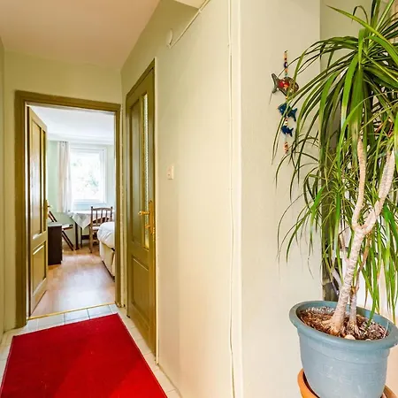 公寓 Lovely Flat Near Trendy Spots In Kadikoy *